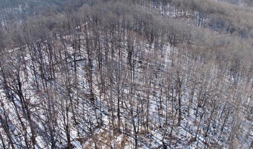 Photo #53 of  Off of Stevens Chapel Road,,  Blue Ridge, VA 50.1 acres