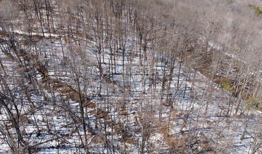 Photo #54 of  Off of Stevens Chapel Road,,  Blue Ridge, VA 50.1 acres