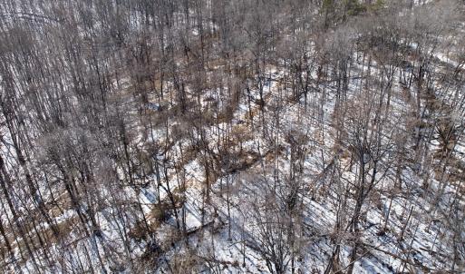 Photo #55 of  Off of Stevens Chapel Road,,  Blue Ridge, VA 50.1 acres