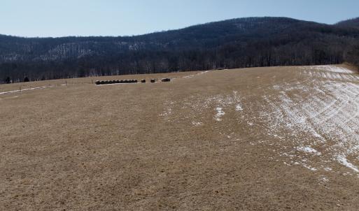 Photo #60 of  Off of Stevens Chapel Road,,  Blue Ridge, VA 50.1 acres
