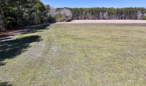 Photo #12 of Off Creek Place Rd, Arapahoe, NC 8.2 acres