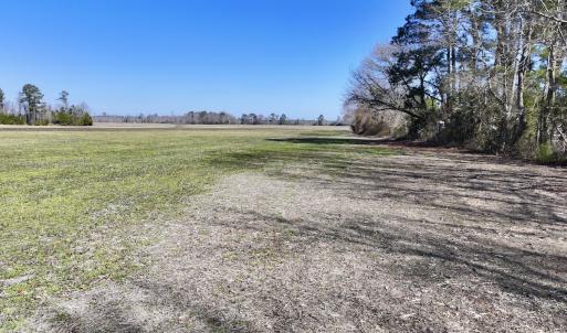 Photo #15 of Off Creek Place Rd, Arapahoe, NC 8.2 acres