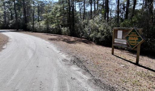 Photo #17 of Off Creek Place Rd, Arapahoe, NC 8.2 acres