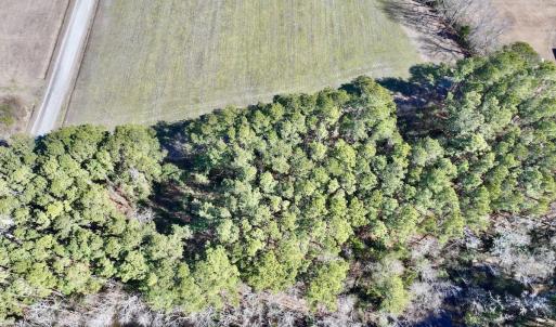 Photo #5 of Off Creek Place Rd, Arapahoe, NC 8.2 acres