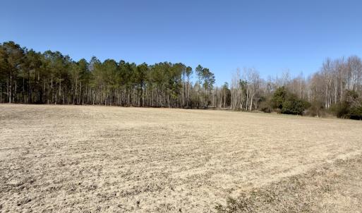 Photo #19 of 2249 Joann Branch rd, Lake View, SC 22.3 acres