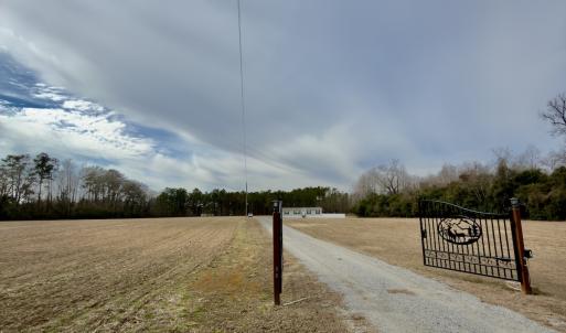 Photo #2 of 2249 Joann Branch rd, Lake View, SC 22.3 acres