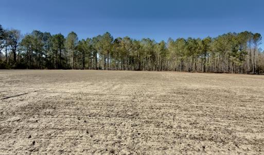 Photo #20 of 2249 Joann Branch rd, Lake View, SC 22.3 acres
