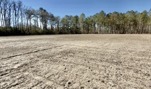 Photo #21 of 2249 Joann Branch rd, Lake View, SC 22.3 acres