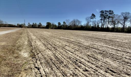 Photo #22 of 2249 Joann Branch rd, Lake View, SC 22.3 acres