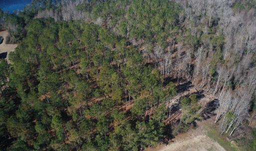 Photo #30 of 2249 Joann Branch rd, Lake View, SC 22.3 acres