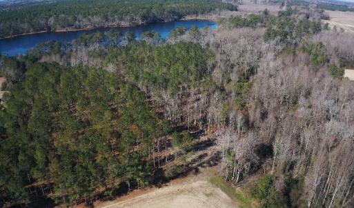 Photo #32 of 2249 Joann Branch rd, Lake View, SC 22.3 acres