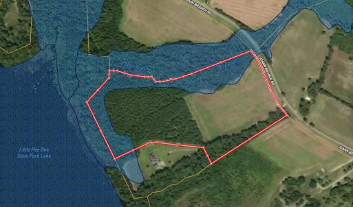 Photo #35 of 2249 Joann Branch rd, Lake View, SC 22.3 acres