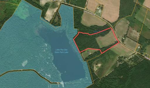 Photo #37 of 2249 Joann Branch rd, Lake View, SC 22.3 acres