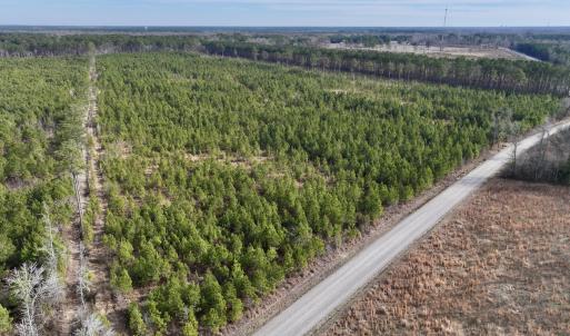 Photo #17 of Off Old Washington Rd, Vanceboro, NC 43.0 acres