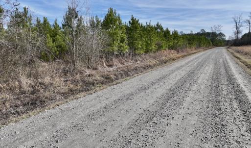 Photo #19 of Off Old Washington Rd, Vanceboro, NC 43.0 acres