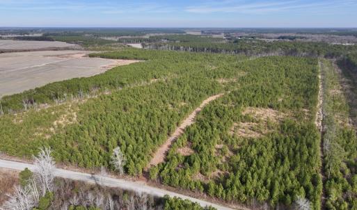 Photo #2 of Off Old Washington Rd, Vanceboro, NC 43.0 acres