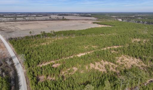Photo #3 of Off Old Washington Rd, Vanceboro, NC 43.0 acres