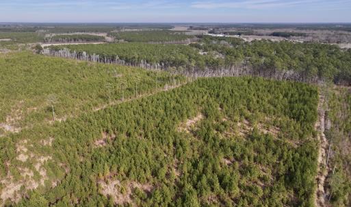 Photo #4 of Off Old Washington Rd, Vanceboro, NC 43.0 acres