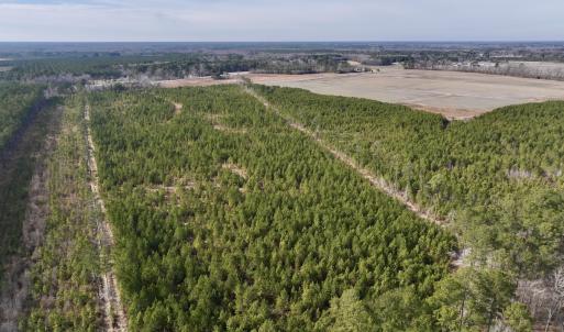 Photo #5 of Off Old Washington Rd, Vanceboro, NC 43.0 acres