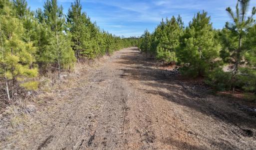 Photo #8 of Off Old Washington Rd, Vanceboro, NC 43.0 acres