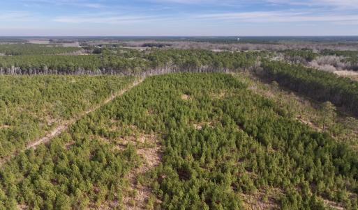 Photo #26 of Off Old Washington Rd, Vanceboro, NC 43.0 acres