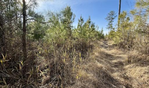 Photo #30 of Off Old Washington Rd, Vanceboro, NC 43.0 acres