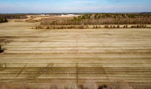 Photo #6 of Off West Rd, Chesapeake, VA 176.0 acres