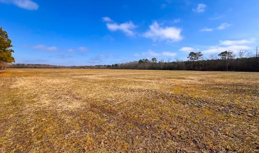 Photo #10 of Off West Rd, Chesapeake, VA 176.0 acres