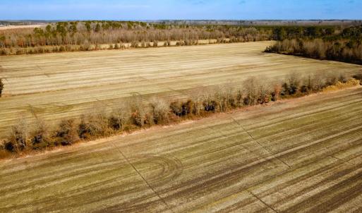 Photo #20 of Off West Rd, Chesapeake, VA 176.0 acres