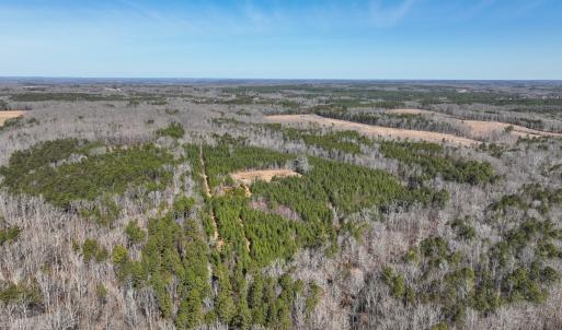 Photo #1 of Off Scott Rd, Semora, NC 69.0 acres