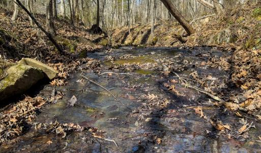 Photo #3 of Off Scott Rd, Semora, NC 69.0 acres