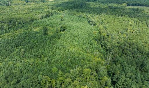 Photo #4 of Off Scott Rd, Semora, NC 69.0 acres