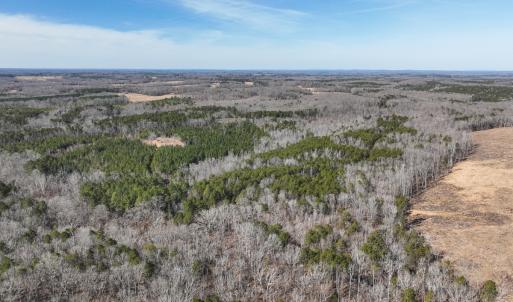 Photo #6 of Off Scott Rd, Semora, NC 69.0 acres