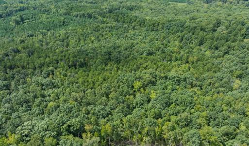 Photo #11 of Off Scott Rd, Semora, NC 69.0 acres