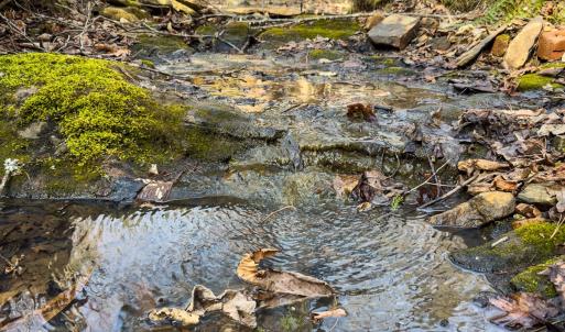 Photo #17 of Off Scott Rd, Semora, NC 69.0 acres