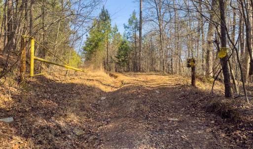 Photo #18 of Off Scott Rd, Semora, NC 69.0 acres