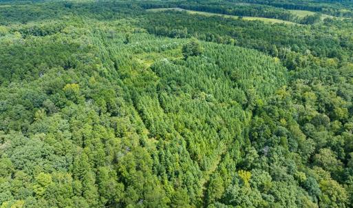 Photo #23 of Off Scott Rd, Semora, NC 69.0 acres