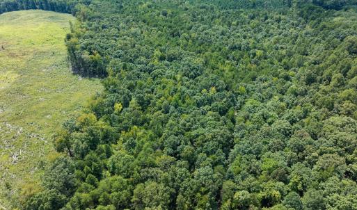 Photo #24 of Off Scott Rd, Semora, NC 69.0 acres