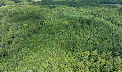 Photo #28 of Off Scott Rd, Semora, NC 69.0 acres