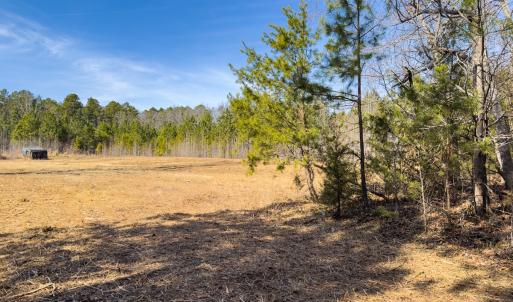 Photo #30 of Off Scott Rd, Semora, NC 69.0 acres