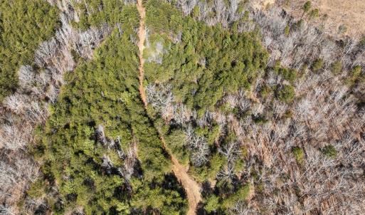 Photo #33 of Off Scott Rd, Semora, NC 69.0 acres