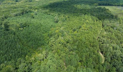 Photo #34 of Off Scott Rd, Semora, NC 69.0 acres