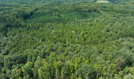 Photo #38 of Off Scott Rd, Semora, NC 69.0 acres