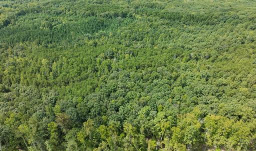 Photo #40 of Off Scott Rd, Semora, NC 69.0 acres