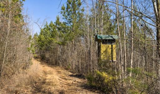 Photo #41 of Off Scott Rd, Semora, NC 69.0 acres