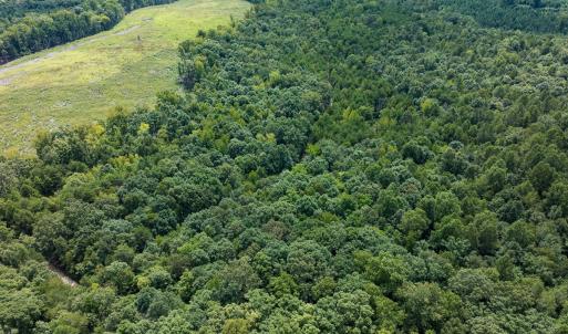 Photo #42 of Off Scott Rd, Semora, NC 69.0 acres