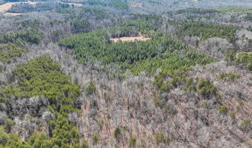Photo #43 of Off Scott Rd, Semora, NC 69.0 acres