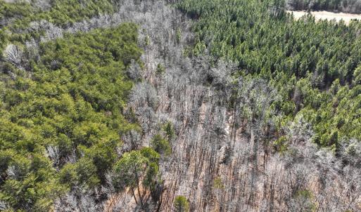 Photo #44 of Off Scott Rd, Semora, NC 69.0 acres