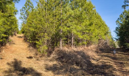 Photo #45 of Off Scott Rd, Semora, NC 69.0 acres