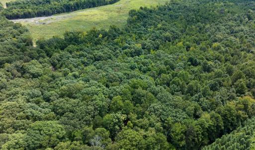 Photo #46 of Off Scott Rd, Semora, NC 69.0 acres